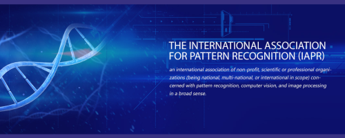 International Conference on Pattern Recognition (I...