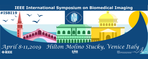 IEEE International Symposium on Biomedical Imaging...