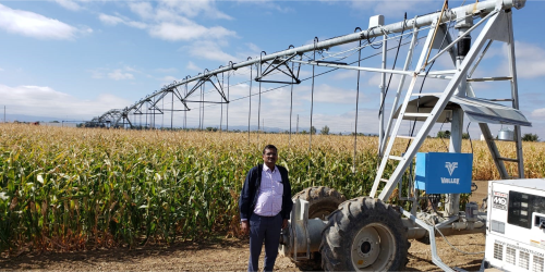 Prof. P Krishna Reddy visits US universities, pres...