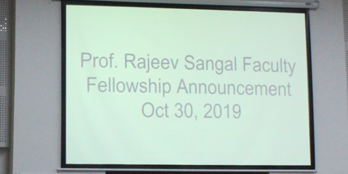 Prof. Rajeev Sangal Faculty Fellowship