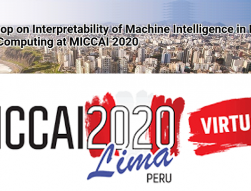 CVIT at MICCAI 2020
