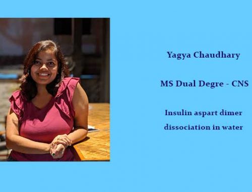 Yagya Chaudhary – Insulin aspart dimer