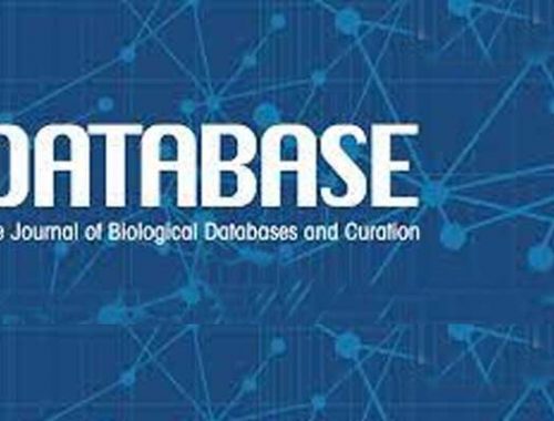 Database