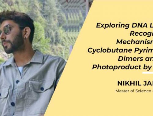 Nikhil Jakhar – DNA Lesion Recognition
