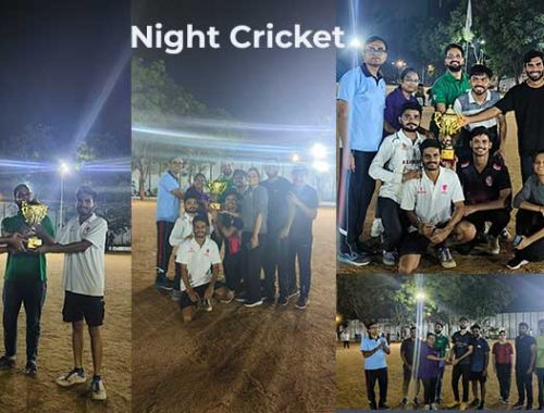 Night cricket 