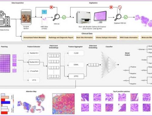 India’s Digital Pathology Dataset Paves Way for ...