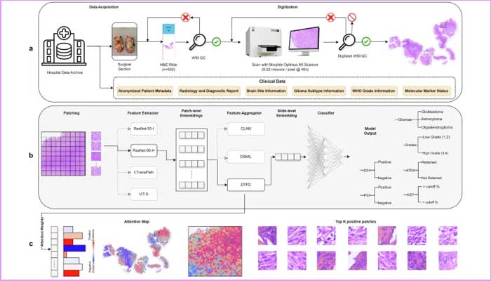 India’s Digital Pathology Dataset Paves Way for ...