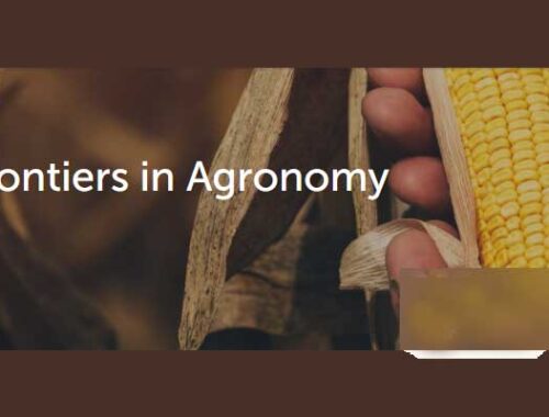 Frontiers in Agronomy