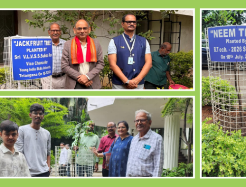 Tree Plantation Drive