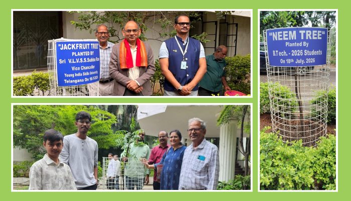 Tree plantation Drive