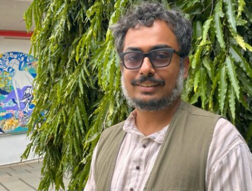 From Elephants to Apps: A Sociologist’s Unli...